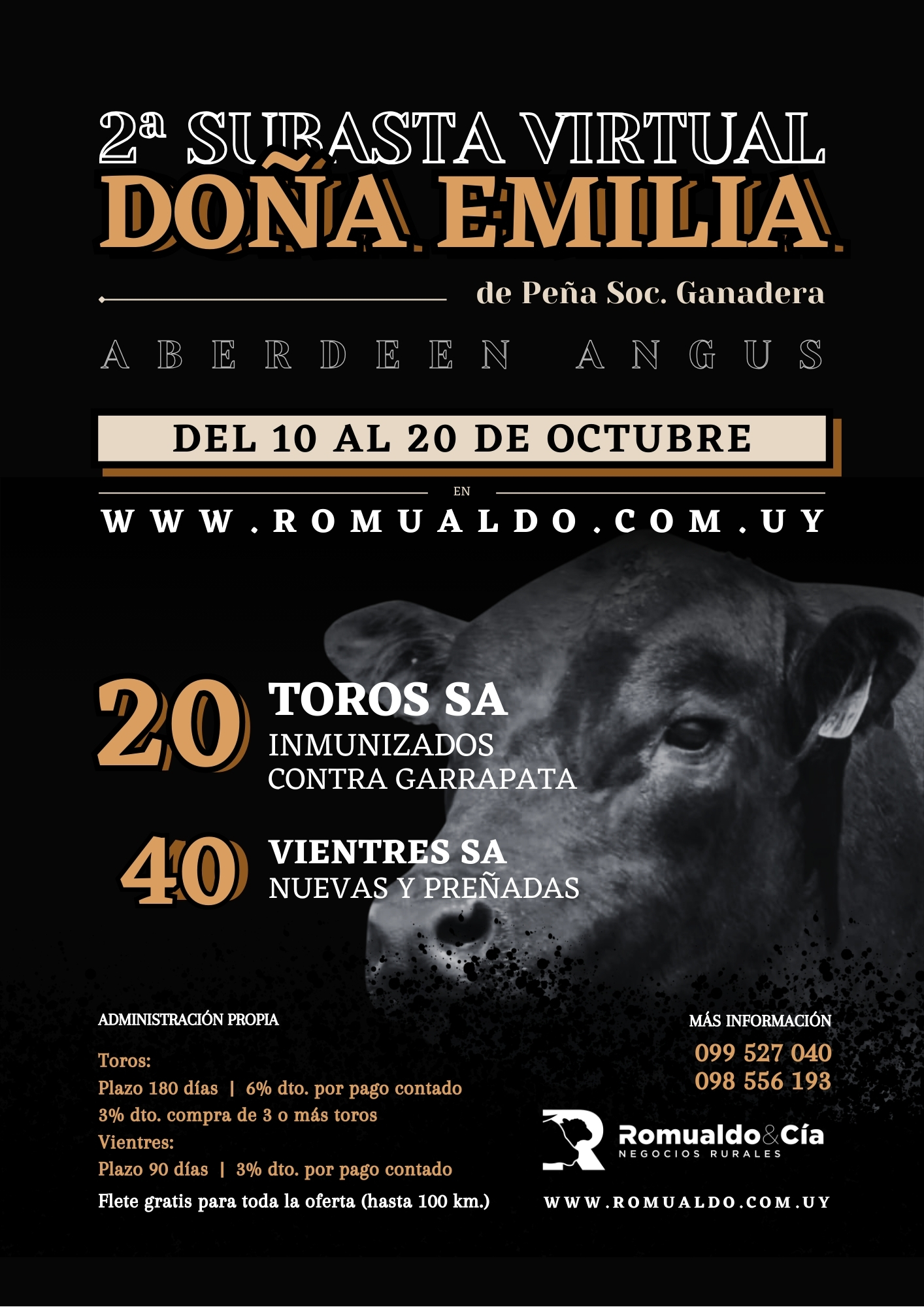 2° Subasta Online Doña Emilia